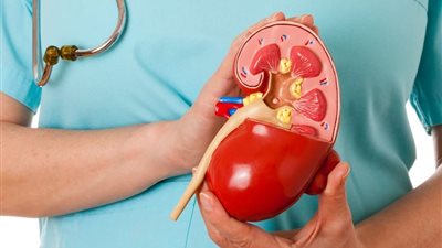 4 طرق لتقليل خطر الإصابة بسرطان الكلى