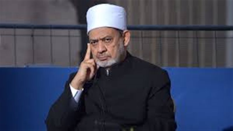 هير نيوز
