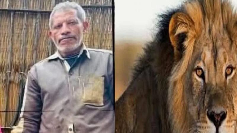 حارس أسد الفيوم