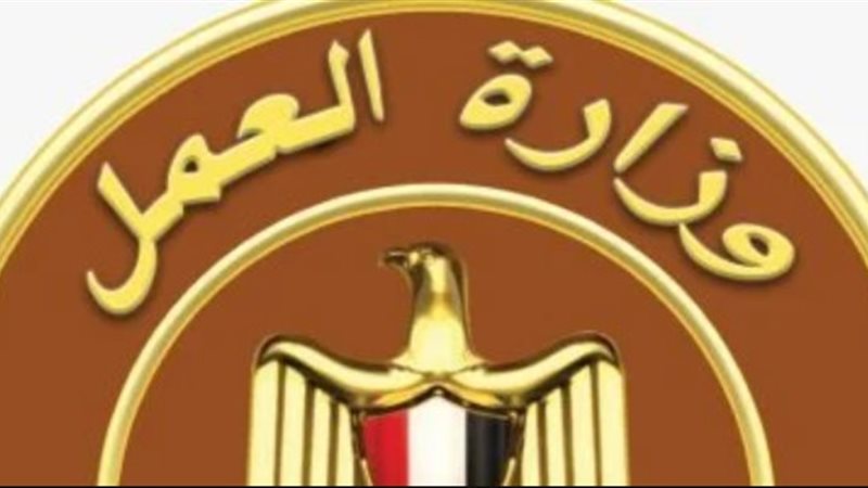 وزارة العمل