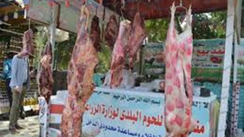 هير نيوز
