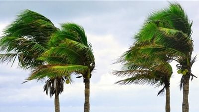 تفسير رؤية الرياح المنام وإرتباطها بقدوم الخير والسعادة