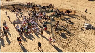 ظفار محطة سياحية مميزة في سلطنة عُمان تجذب السياح من أنحاء العالم 