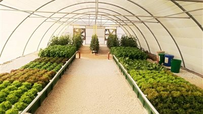 وسط تحديات المناخ.. التقنيات الزراعية خيار مستقبلي لتحسين إنتاج المحاصيل بعُمان