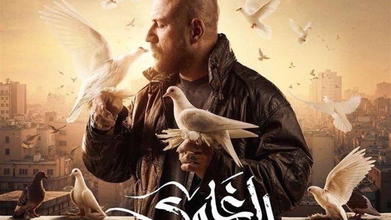 هير نيوز
