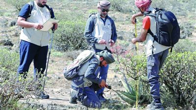 أبحاث عمانية مبتكرة لاكتشاف النباتات الغذائية والعلاجية