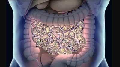 أستاذ بالقومي للبحوث يوضح تأثير الصيام على ميكروبيوم الأمعاء