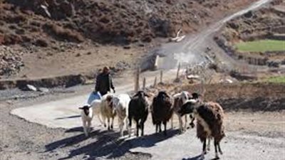 كيف يقضي البدو شهر رمضان في صحراء المغرب؟