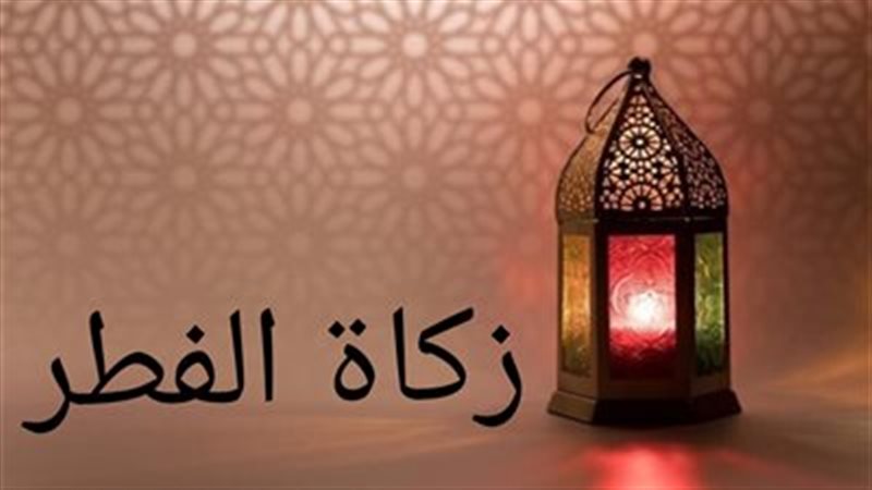 هير نيوز