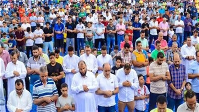هير نيوز