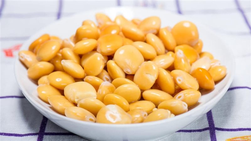 فوائد الترمس