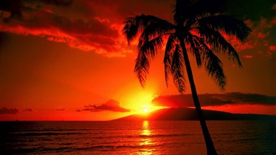  تفسير رؤية الغروب في المنام وعلاقته بزوال الجاه والسلطة