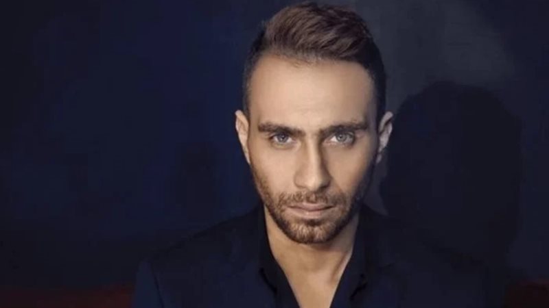 حسام حبيب