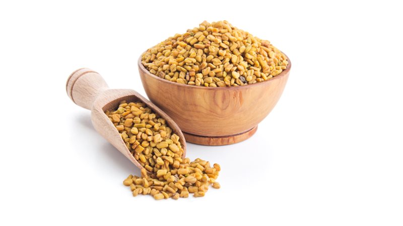 الحلبة