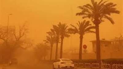 الأرصاد توضح حقيقة تعرض مصر لـ«العاصفة شيماء»