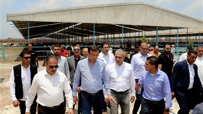 البنك الزراعي المصري يمول شراء 2000 رأس ماشية بقيمة 395 مليون جنيه لصالح  188 من صغار المربين بالشرقية