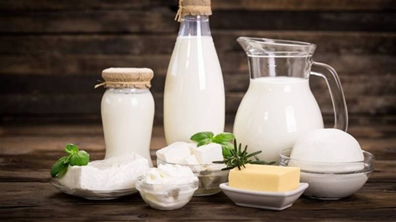 منتجات الألبان