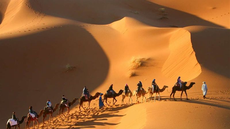 تفسير حلم الصحراء