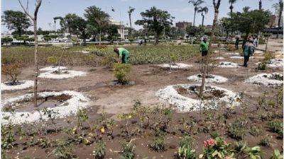 ميادين العاصمة تتزين بنبض الحياة الخضراء.. وحملات تشجير واسعة برعاية شيخ الأزهر