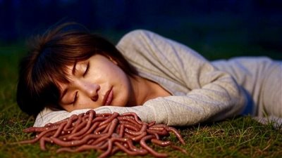 تفسير رؤية الدود في المنام وعلاقته بالمال الحرام والذنوب