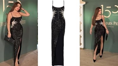 سعره 452 ألف جنيه..هيفاء وهبي تتألق بفستان أسود لامع بفتحة جانبية 