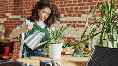 تفسير رؤية الزرع في المنام للعزباء والمتزوجة والحامل