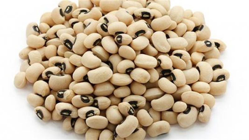 تفسير رؤية اللوبيا