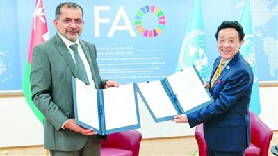 إنشاء ممثلية لمنظمة 