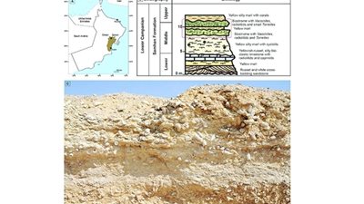 باحثة عمانية تشارك في دراسة دولية تعزز الفهم بالتأثيرات البيئية