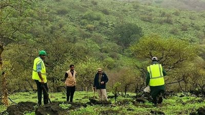 من أجل بيئة خضراء مستدامة.. عُمان تنفذ حملة لغرس 4 ملايين بذرة من الأشجار
