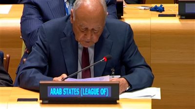 أبو الغيط يلتقي السكرتير العام للأمم المتحدة