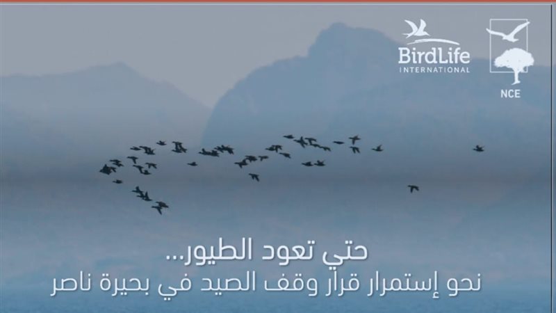 حتى تعود الطيور