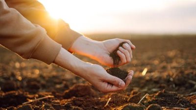 هل يجوز التيمم حال انقطاع المياه يوم كامل؟.. أمينة الفتوى تُجيب