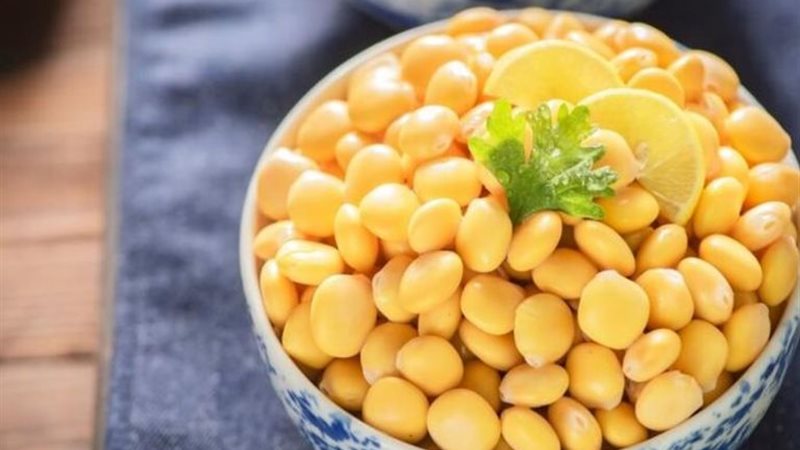 الترمس