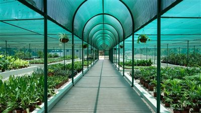 بأمرٍ سامٍ من سلطان عُمان .. بعد غدٍ الأثنين افتتاح المسار السياحي بمزرعة رزات السلطانية بمحافظة ظفار.