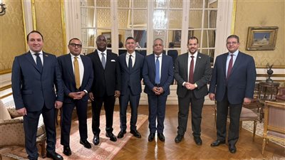  الشرقاوي: لدينا رؤية جادة  نحققها بالتنسيق التام مع سفراء مصر في القارة