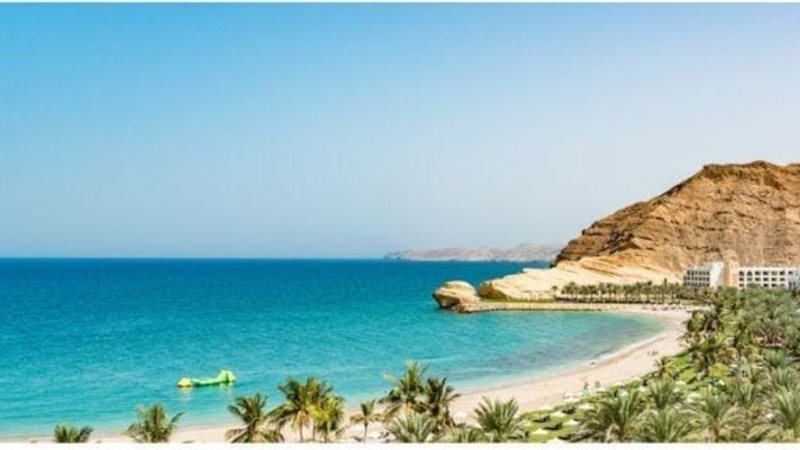هير نيوز