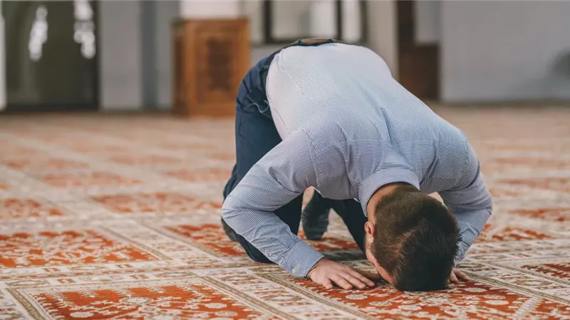هير نيوز