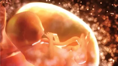 دراسة غريبة: ميكروبات الأمهات تبني أدمغة الأطفال