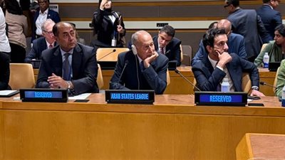 أبو الغيط يدعو إلى حل الدولتين ووقف إطلاق النار والانسحاب الإسرائيلي من غزة