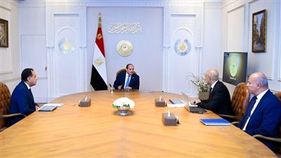 الرئيس السيسى يوجه الحكومة بمواكبة العصر الرقمى وربط مناهج التعليم بسوق العمل