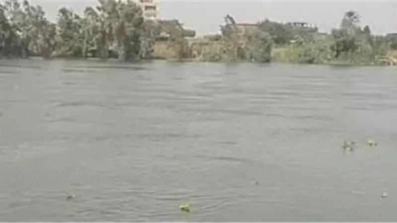 هير نيوز