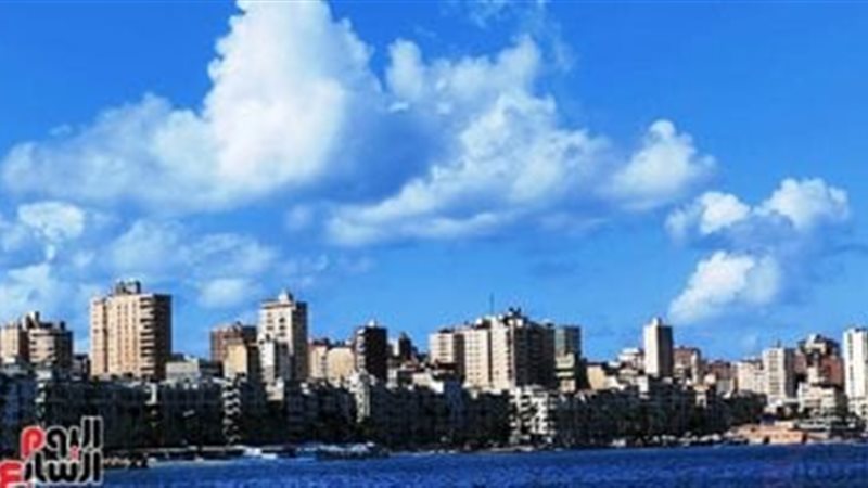 هير نيوز