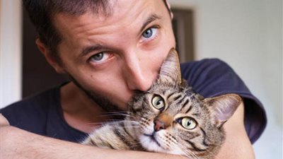 أفكر في الطلاق من زوجي بسبب حبه للقطط