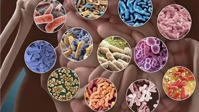 دراسة: بكتيريا الأمعاء تؤثر على المشاعر