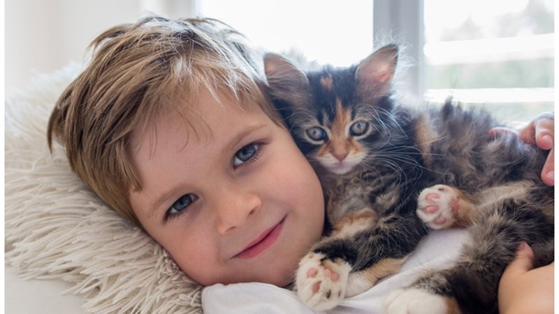 تربية حيوان أليف 