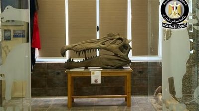 اكتشاف نوع جديد من التماسيح القديمة عاش في مصر قبل 80 مليون عام