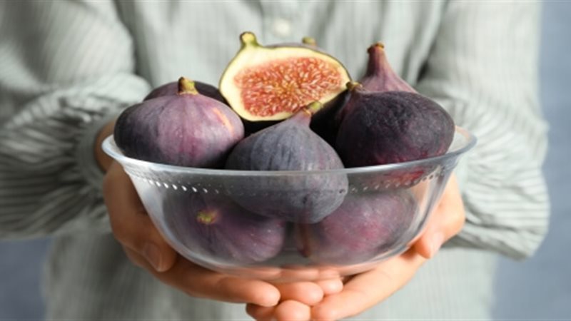  تفسير رؤية التين في المنام