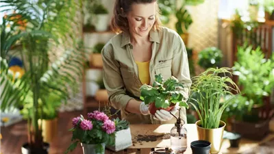 نباتاتك في شتاء آمن.. نصائح للعناية والنمو في أشهر البرد