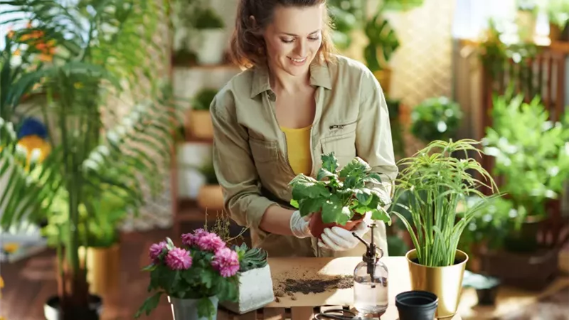 العناية بالنباتات 